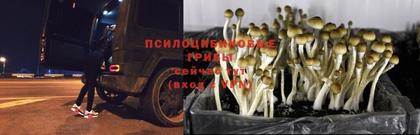 гидра Беломорск