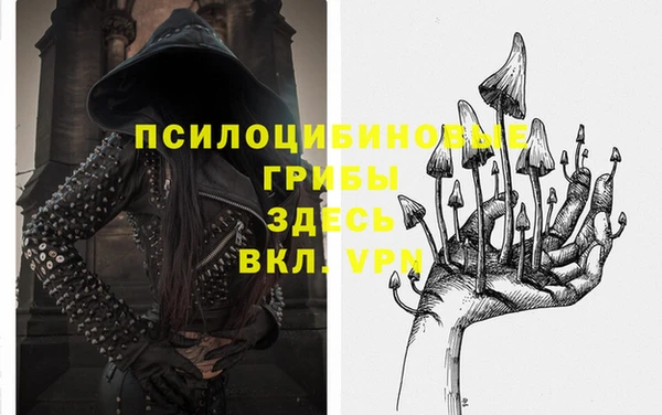 гидра Беломорск