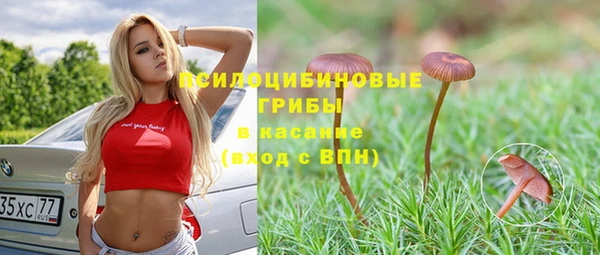 ECSTASY Белоозёрский