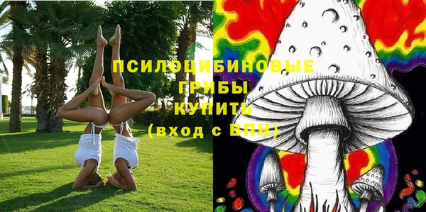 эйфоретик Белокуриха