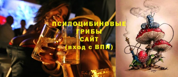 эйфоретик Белокуриха
