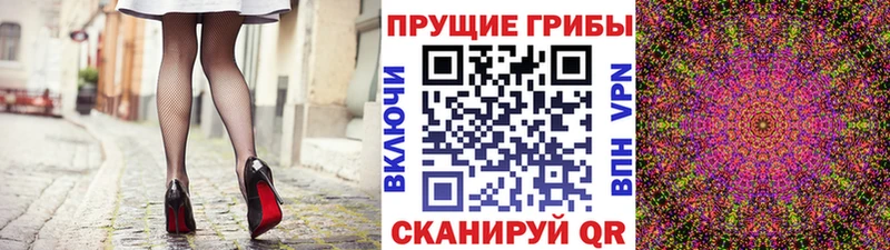 Псилоцибиновые грибы Cubensis Луховицы
